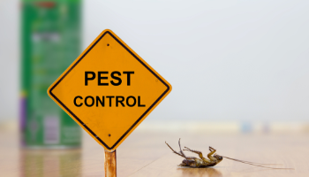 Pest Control Stores