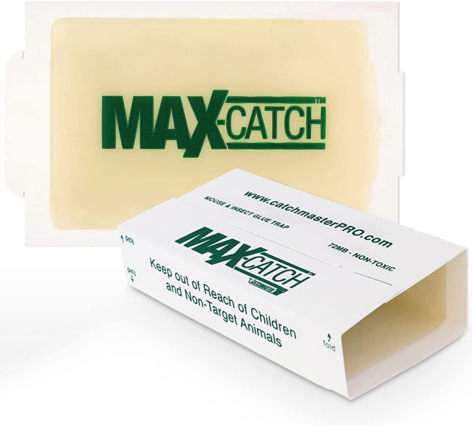 72MAX - 72pc per box Mouse Glue Boards ( Econo / Peanut Butter 8.5 x 5.25 )