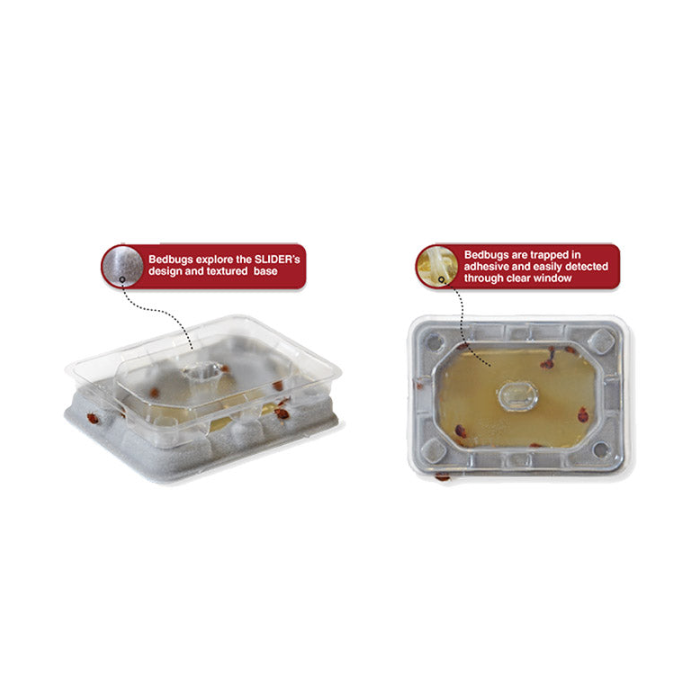 BDS-SLDR96 - 24pc. per box – Catchmaster® Slider 96 Bedbug Monitor