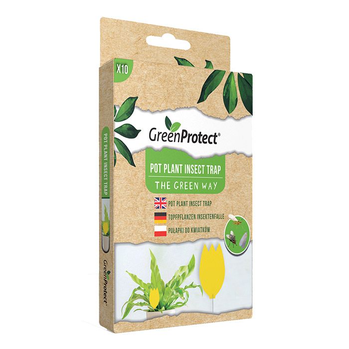 GPPIT1 – 20 Stk. pro Karton – Green Protect Topfpflanzen-Insektenfalle