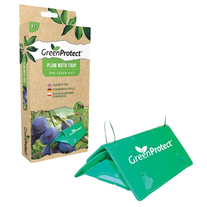 GPMMT1 – 12 Stk. pro Karton – Green Protect Pflaumenmottenfalle