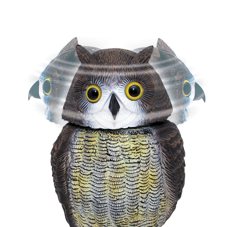 V965 - 6pc BIG CHEESE Wind-Action Owl