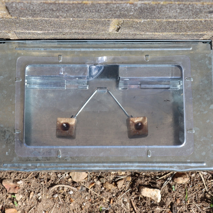 V202 - 6pc. per box Multi-Catch Mouse Trap