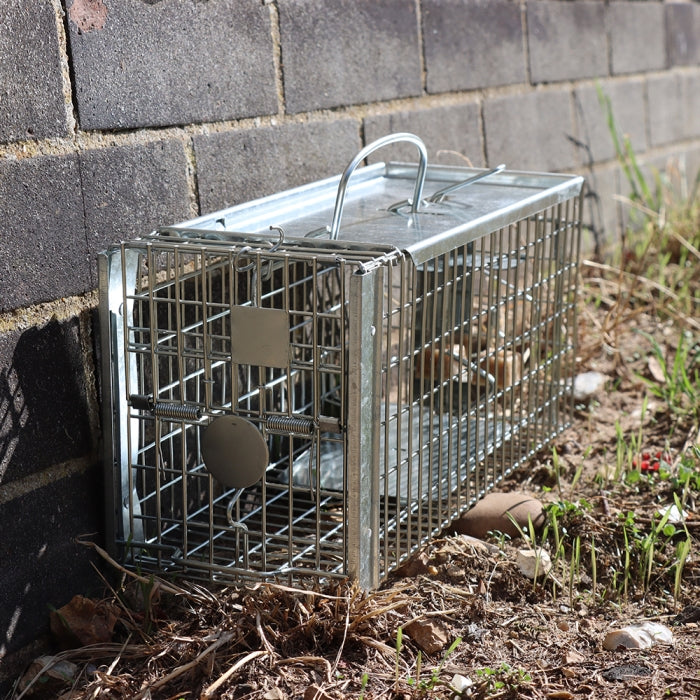 V203 - 6pc. per box - Rat Cage Trap
